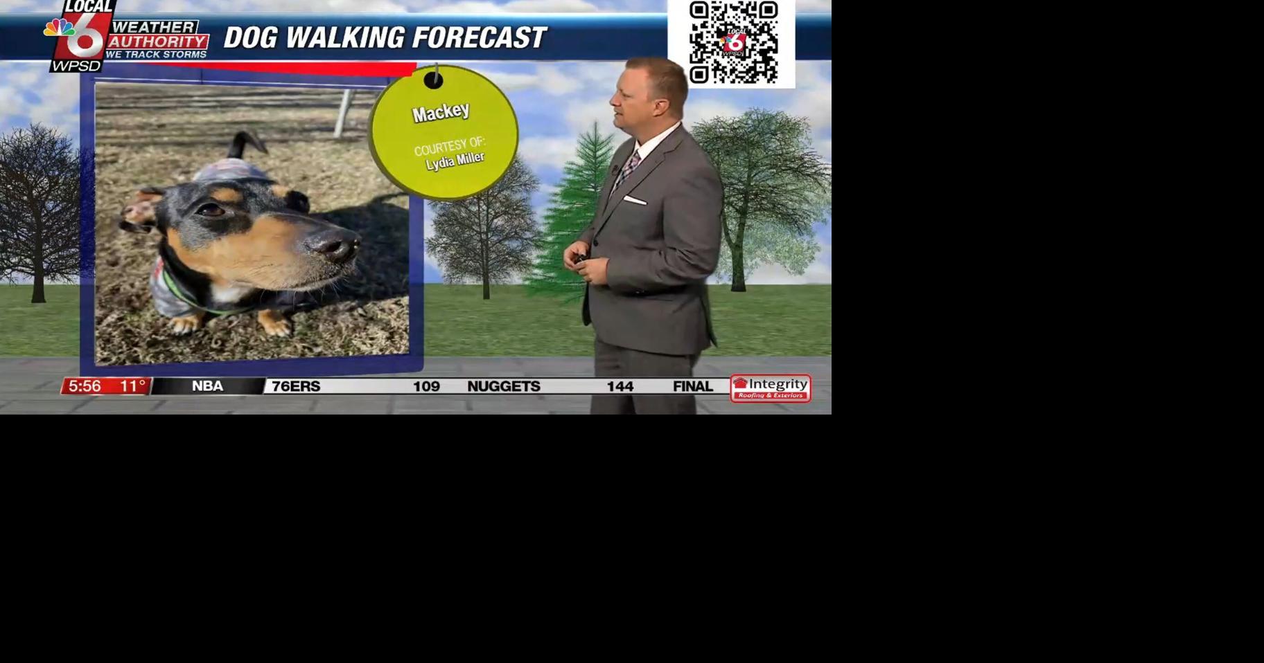 Dog walking forecast 1.22.25