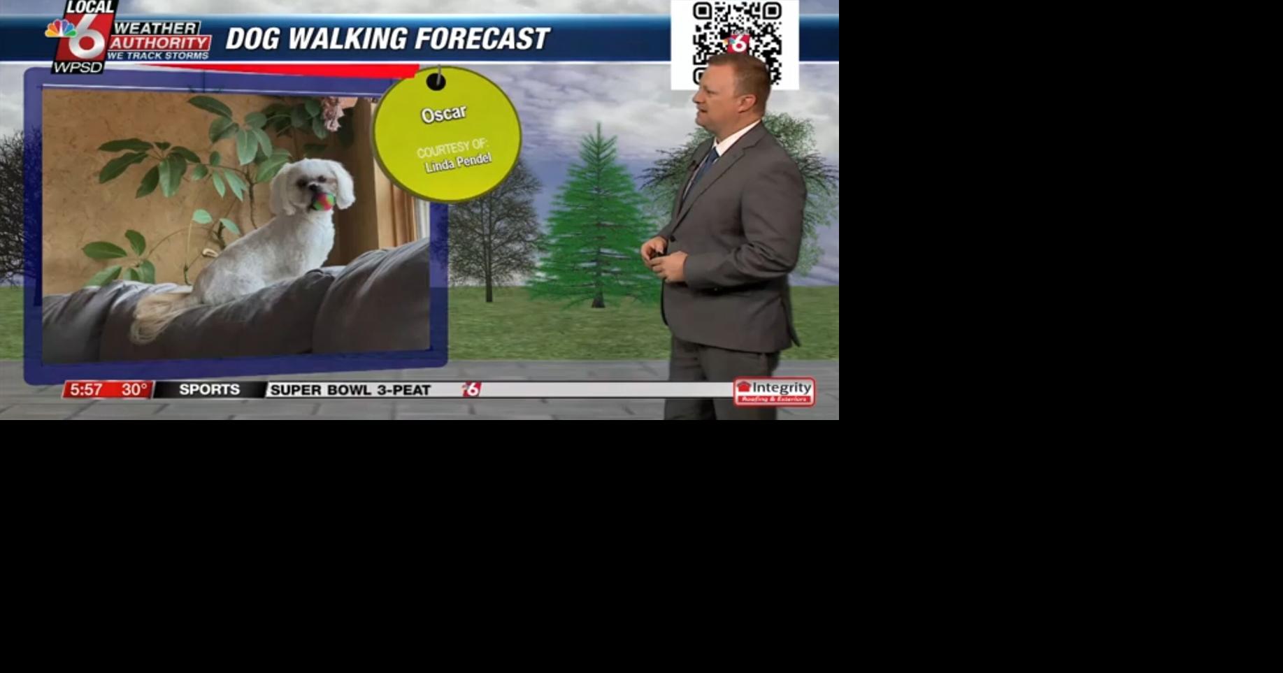 Dog walking forecast 2.10.25
