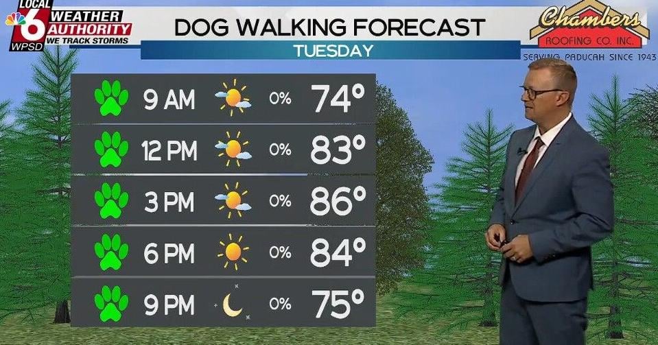 Dog Walking Forecast 8.4.26 | Weather Dog Walking Forecast 8.4.26 | Weather