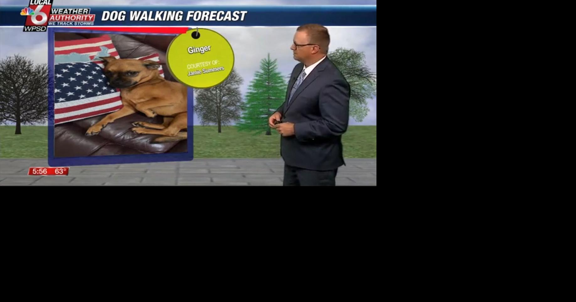 Dog walking forecast 5.28.25