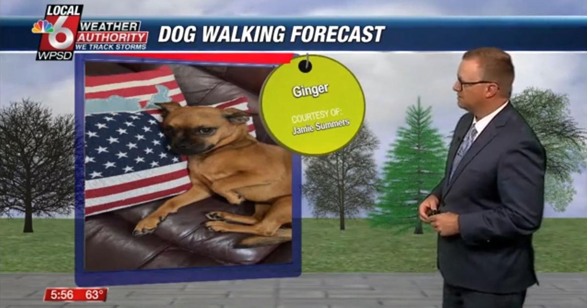 Dog walking forecast 5.28.25 Dog walking forecast 5.28.25