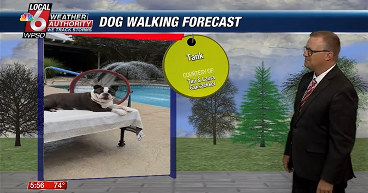 Dog walking forecast 7.16.25 Dog walking forecast 7.16.25