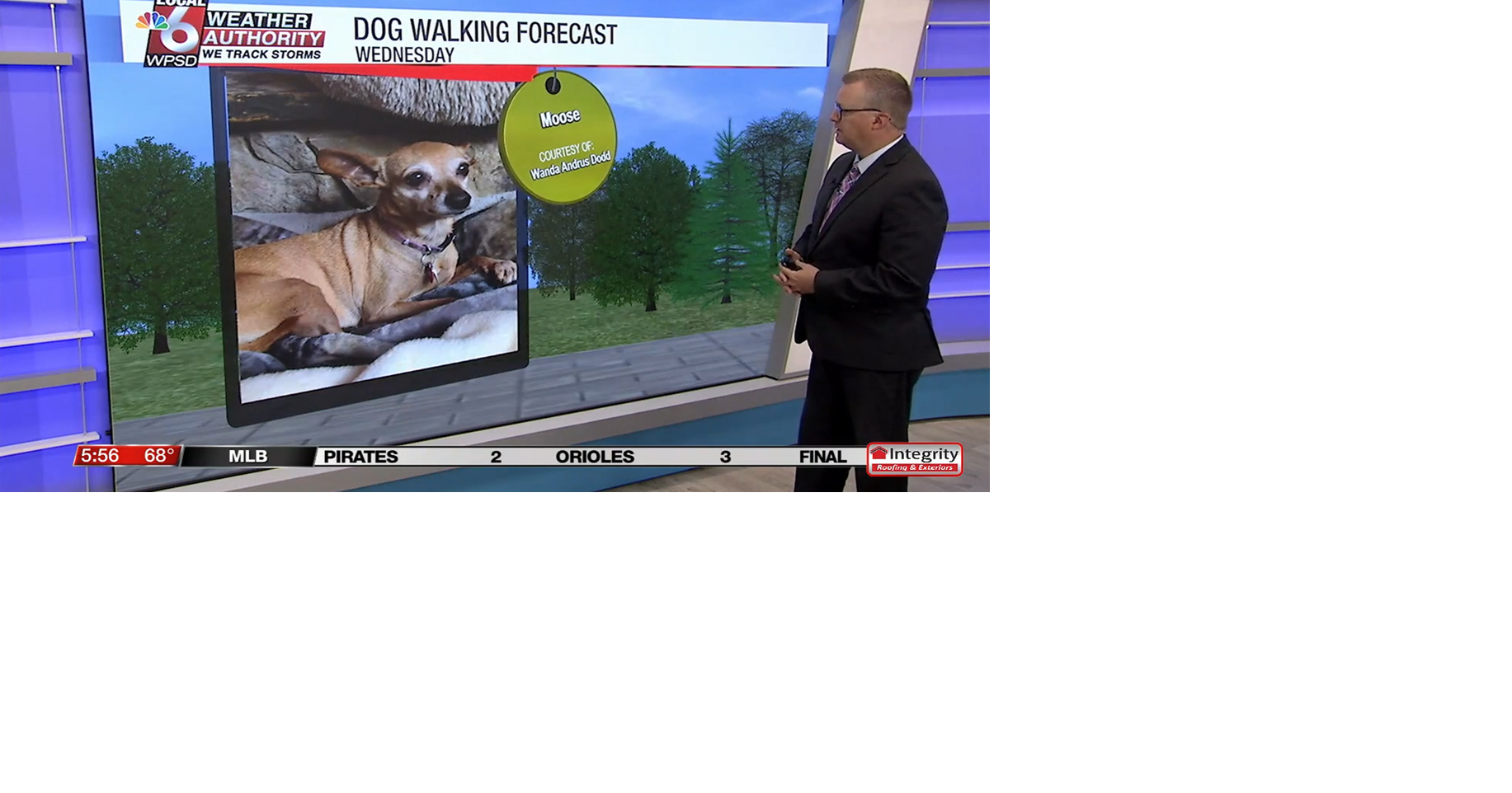 Dog walking forecast 9.10.25