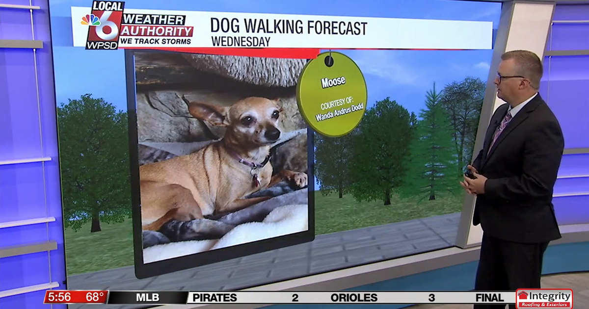 Dog walking forecast 9.10.25 Dog walking forecast 9.10.25