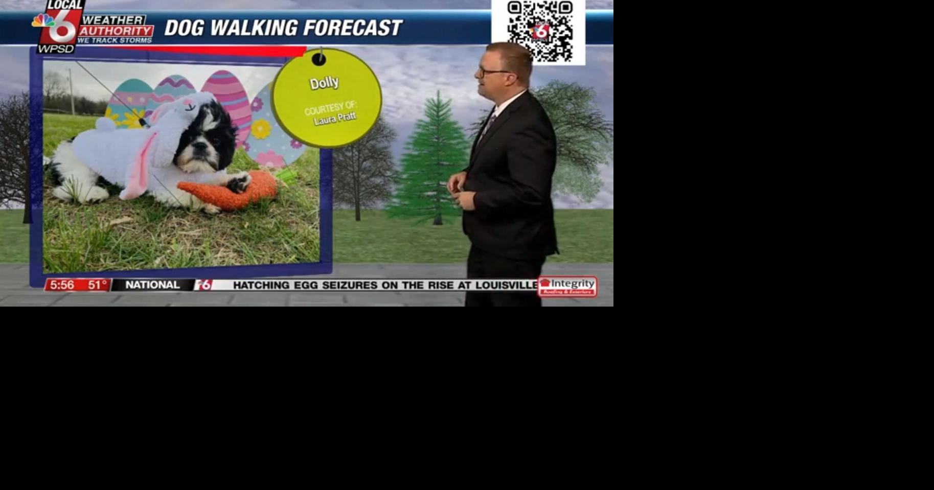 Dog walking forecast 3.25.25