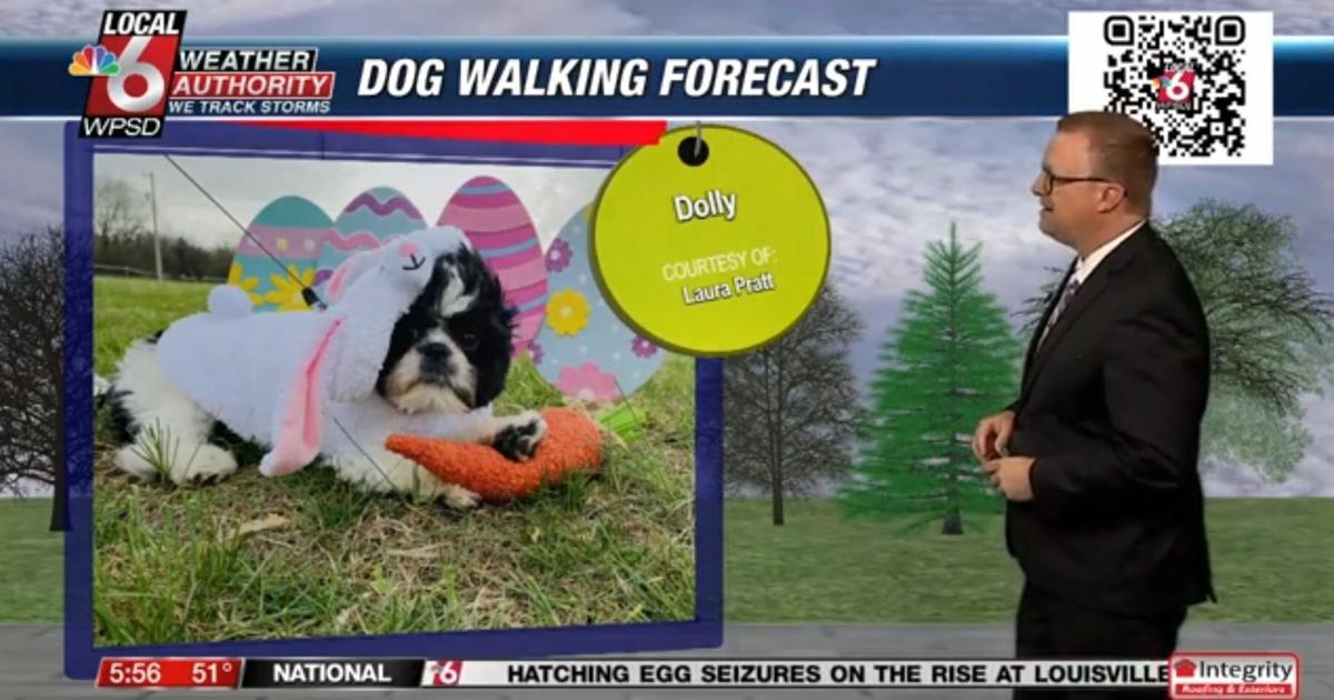 Dog walking forecast 3.25.25 Dog walking forecast 3.25.25