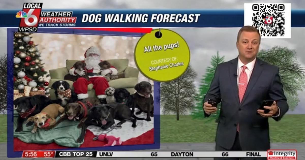 Dog walking forecast 12.18.24 | Weather Dog walking forecast 12.18.24 | Weather