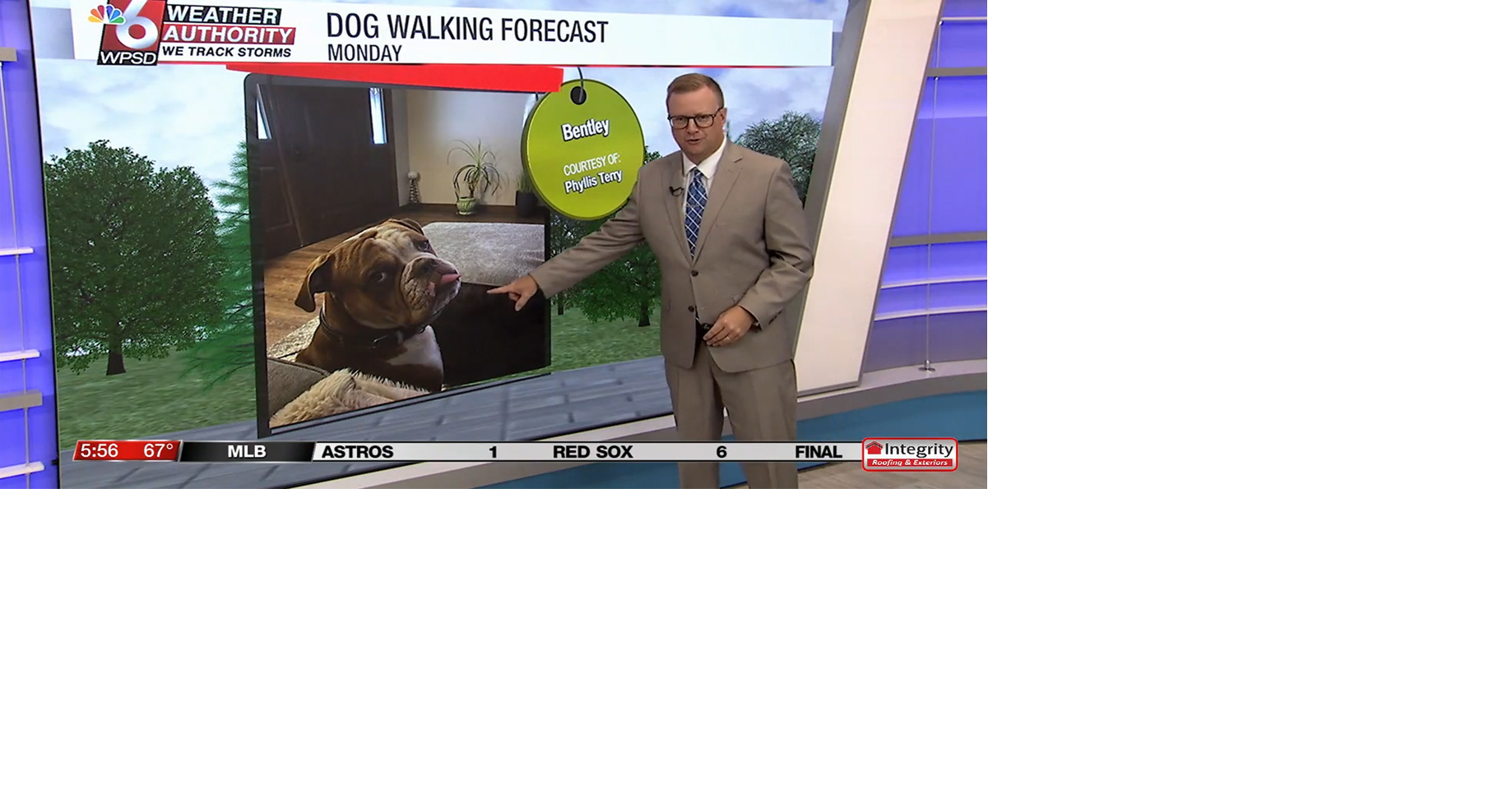 Dog walking forecast 8.4.25