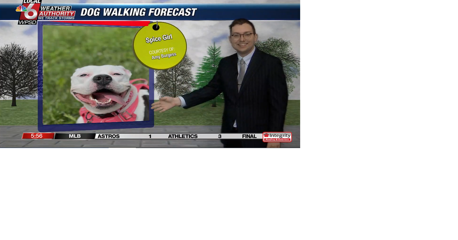Dog walking forecast 6.17.25
