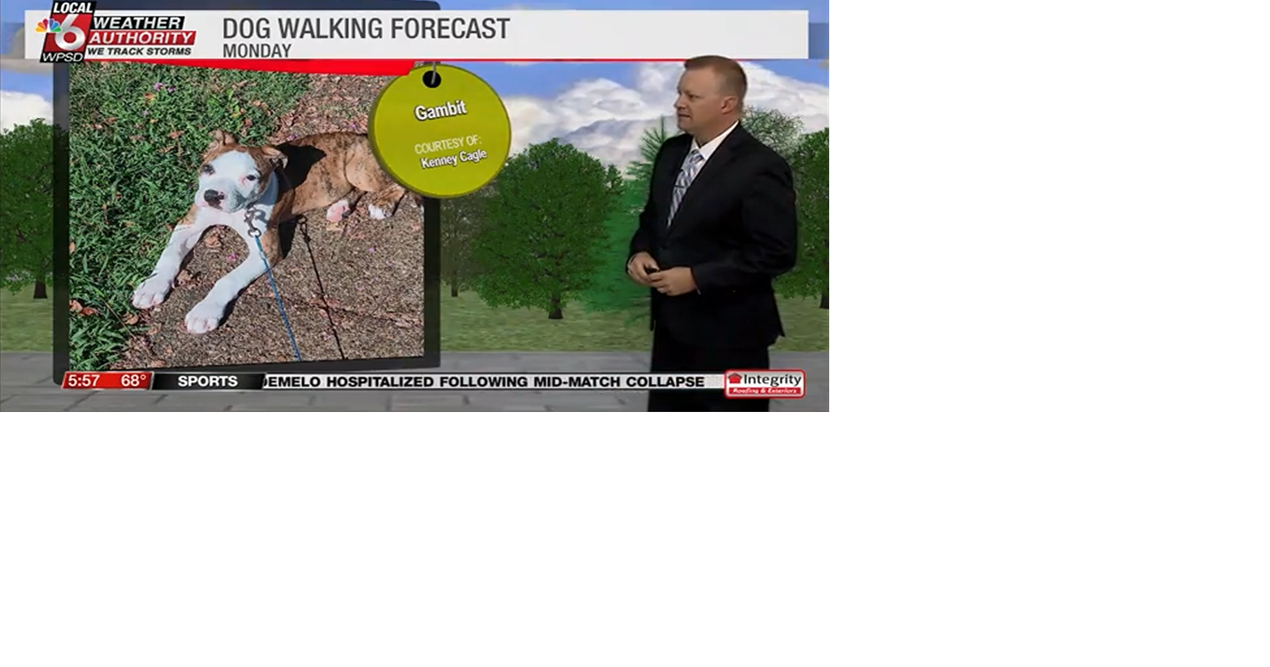 Dog walking forecast 9.15.25