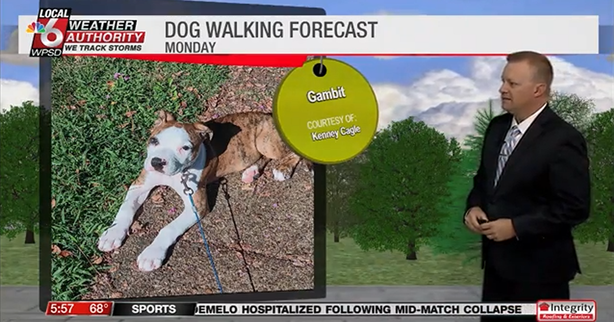 Dog walking forecast 9.15.25 Dog walking forecast 9.15.25