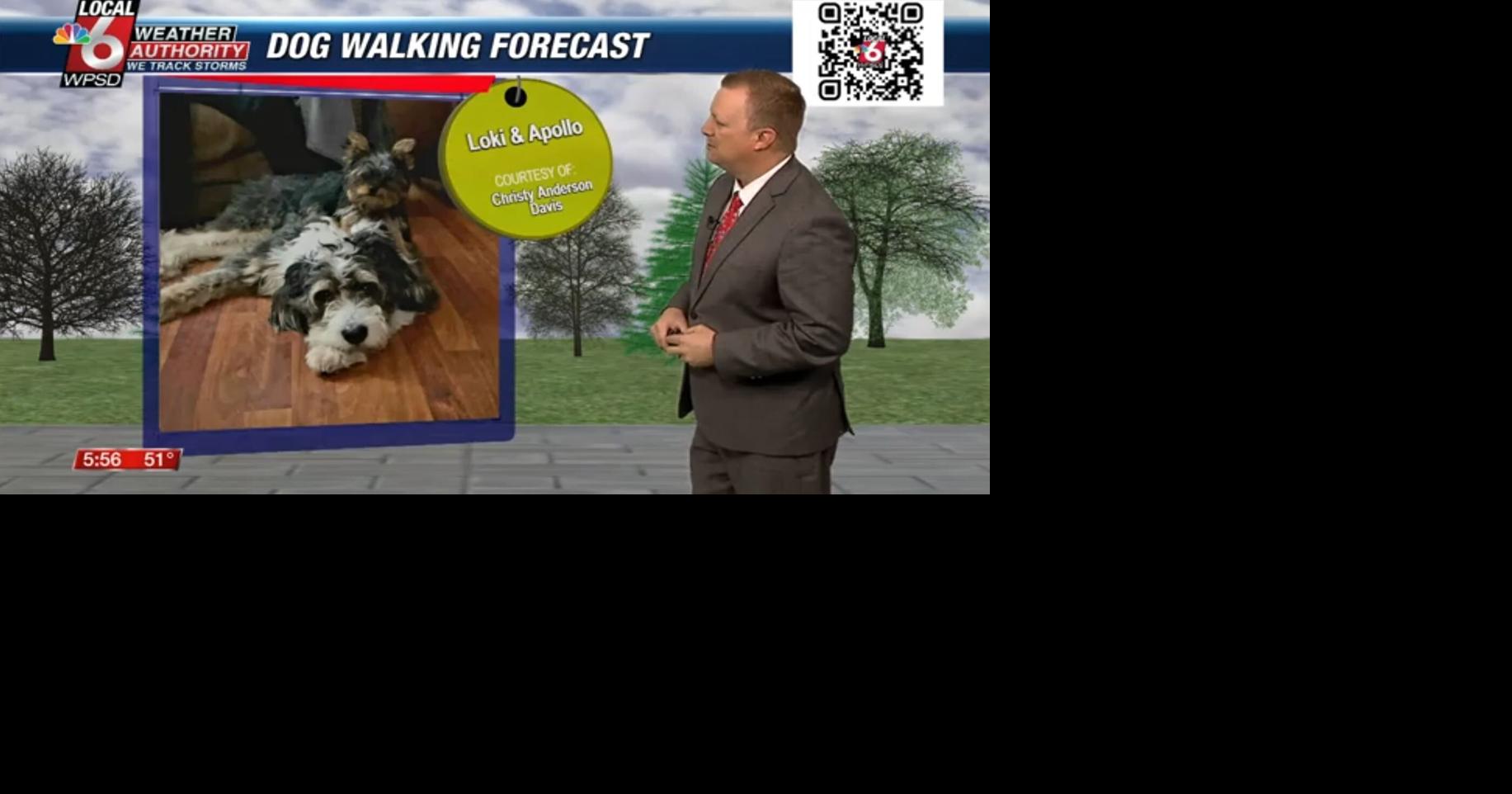 Dog walking forecast 2.26.25 | Weather | WPSD Local 6