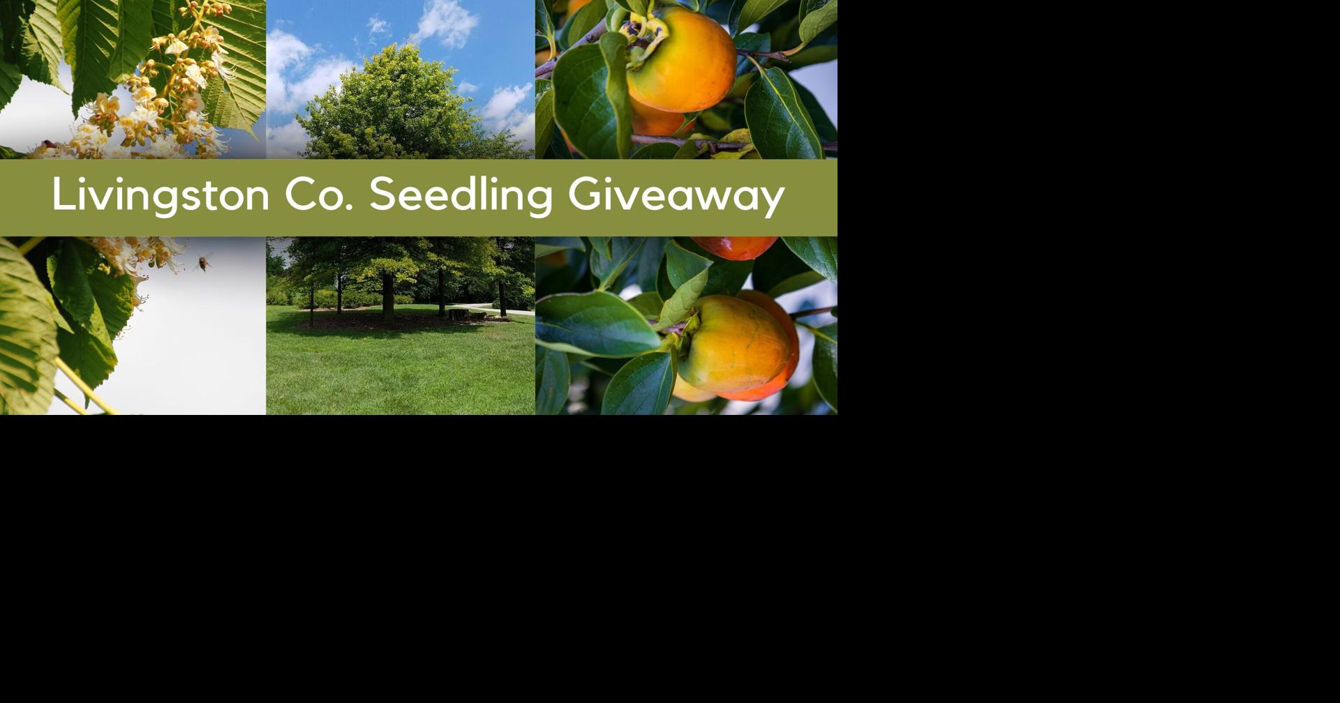 Livingston County: FFA to distribute free tree seedlings | News | WPSD ...