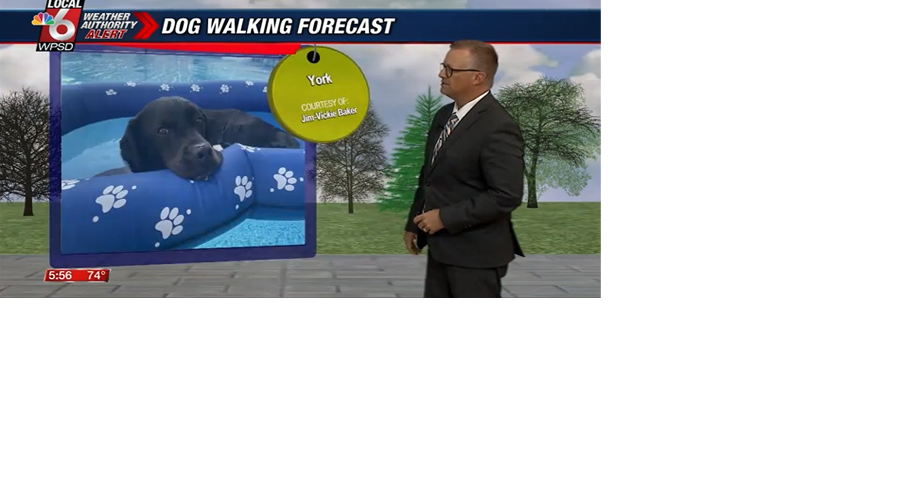 Dog walking forecast 6.26.25