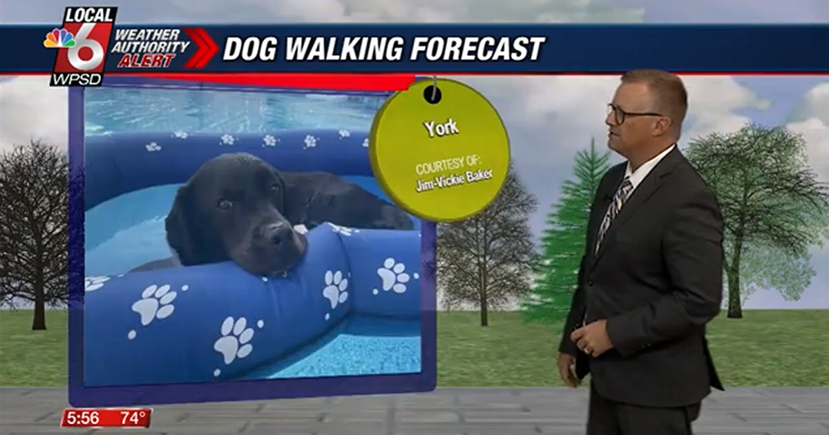 Dog walking forecast 6.26.25 Dog walking forecast 6.26.25