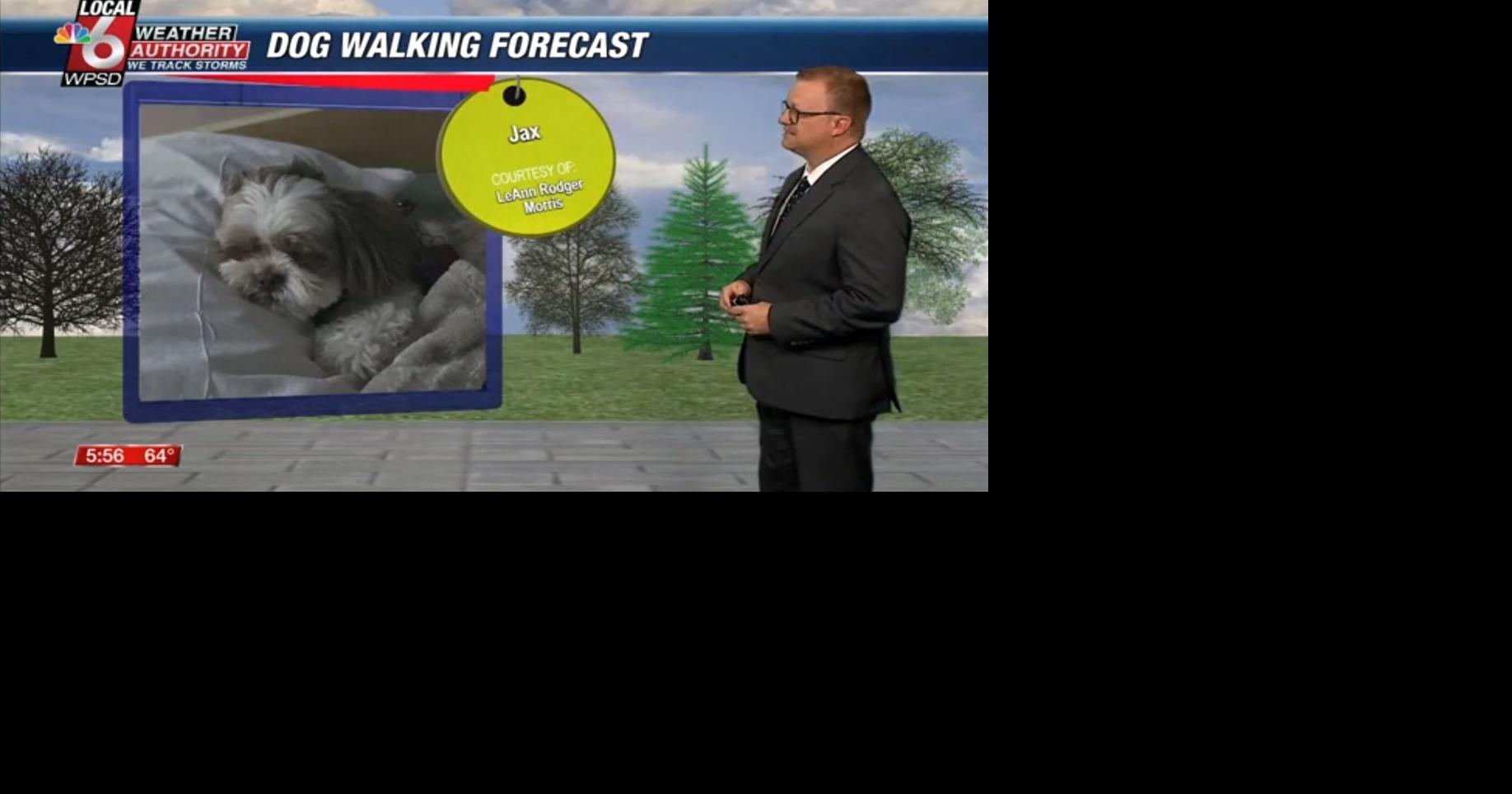 Dog walking forecast 5.12.25