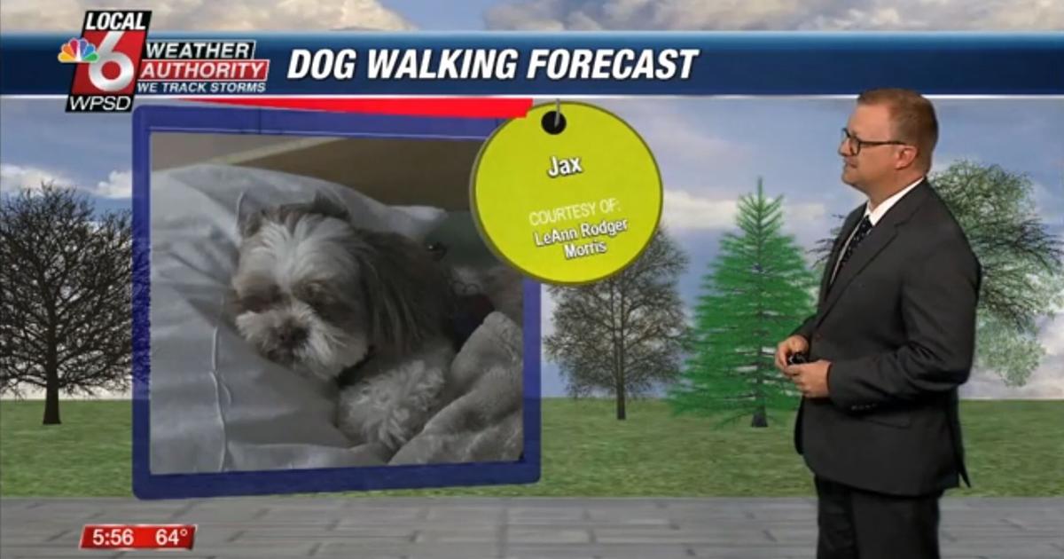Dog walking forecast 5.12.25 Dog walking forecast 5.12.25