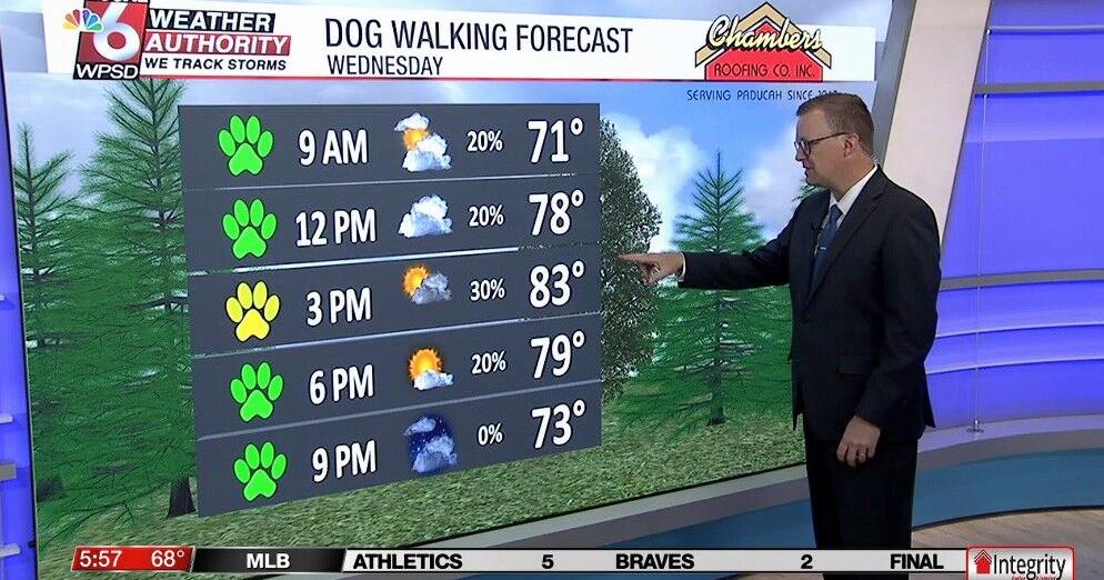 Dog walking forecast 4.1.26 | News