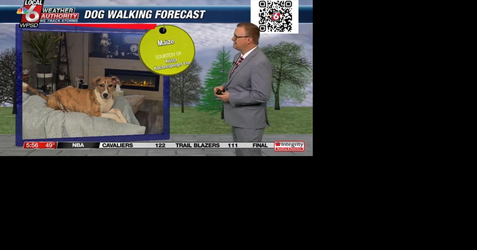 Dog walking forecast 3.26.25