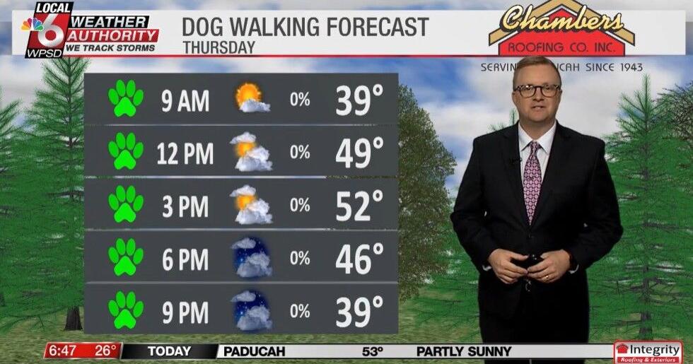 Dog walking forecast 2.12.26 | News