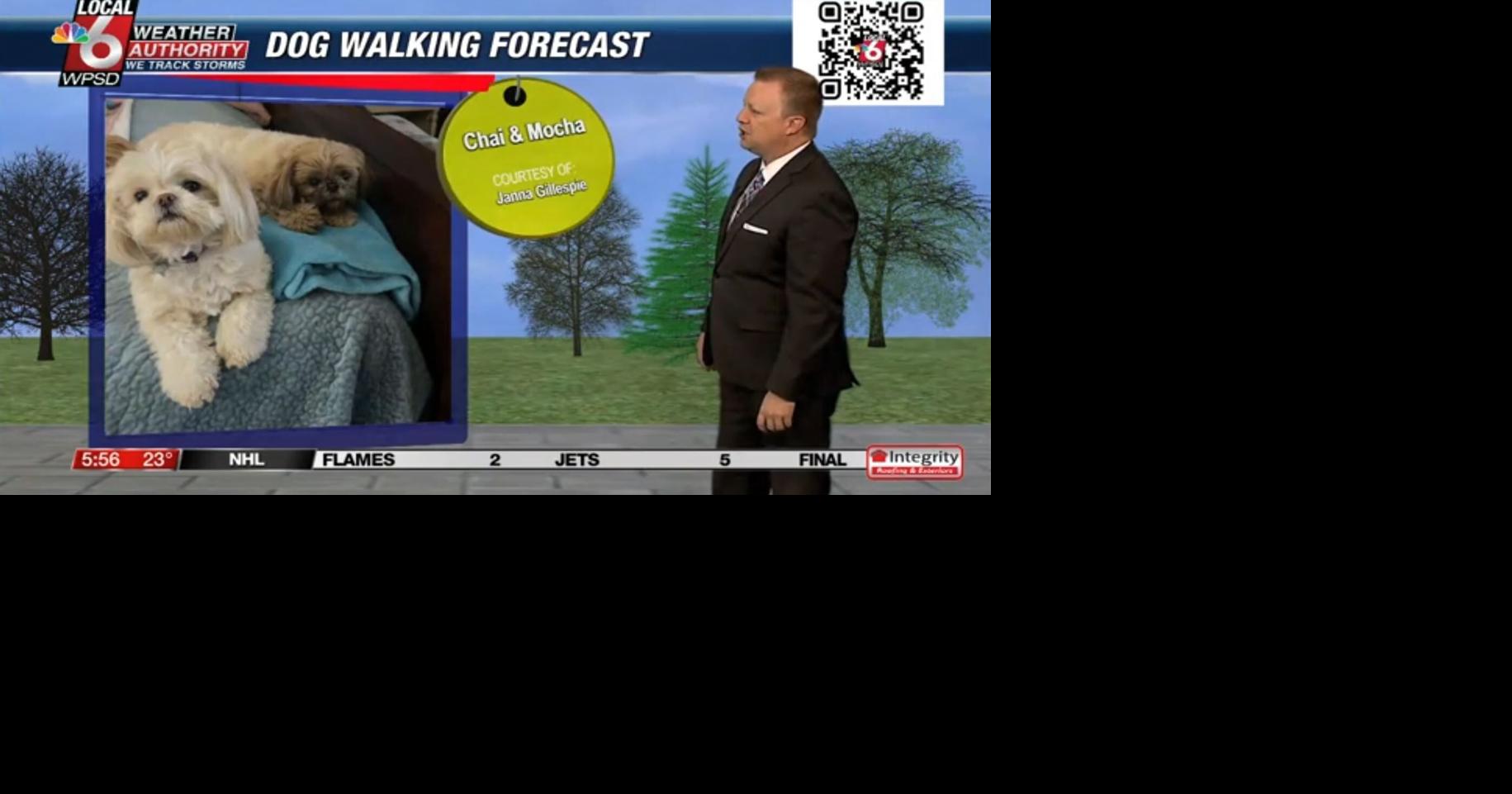 Dog walking forecast 1.27.25