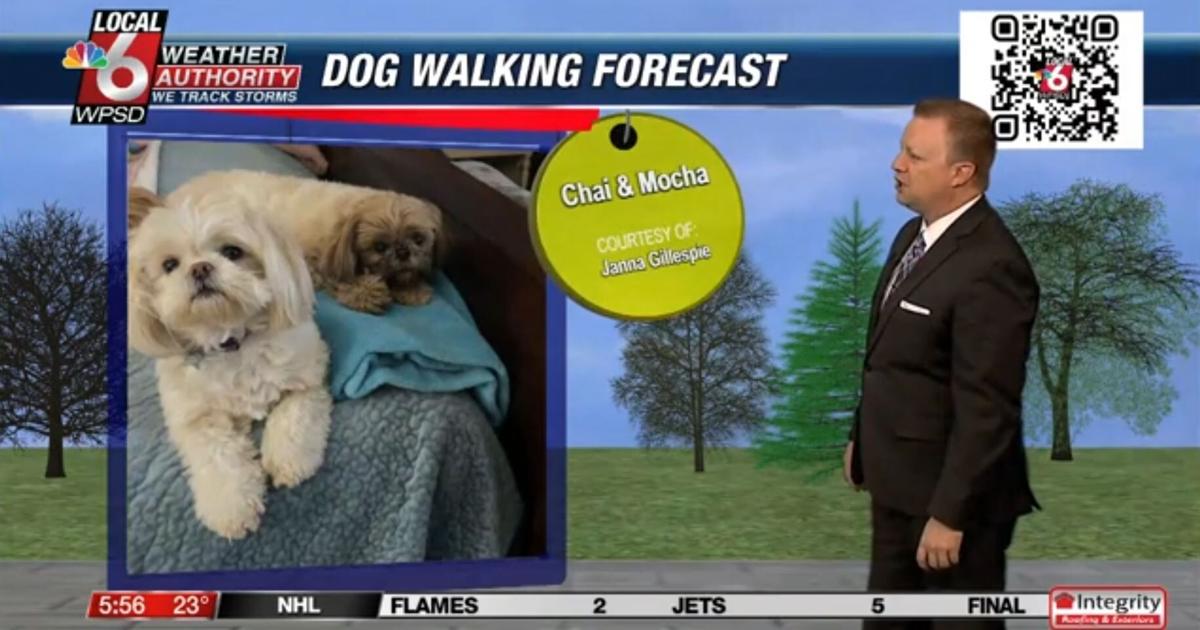 Dog walking forecast 1.27.25 Dog walking forecast 1.27.25