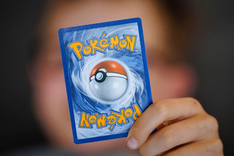 back of pokemon cards Pokémon TCG: Collector Chest (Fall 2022: Hisuian Voltorb/Hisuian  Growlithe/Hisuian Sneasel) Super Anime Store main image 1