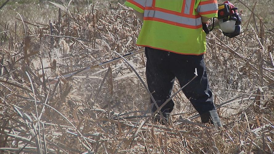 New work program offers McCracken County inmates time off of sentence