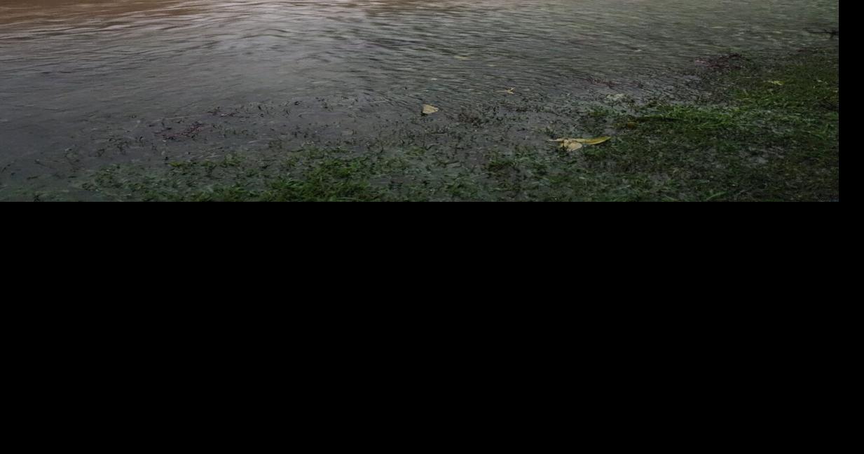 Obion County, Tennessee, to partner with Kentucky agency to offer