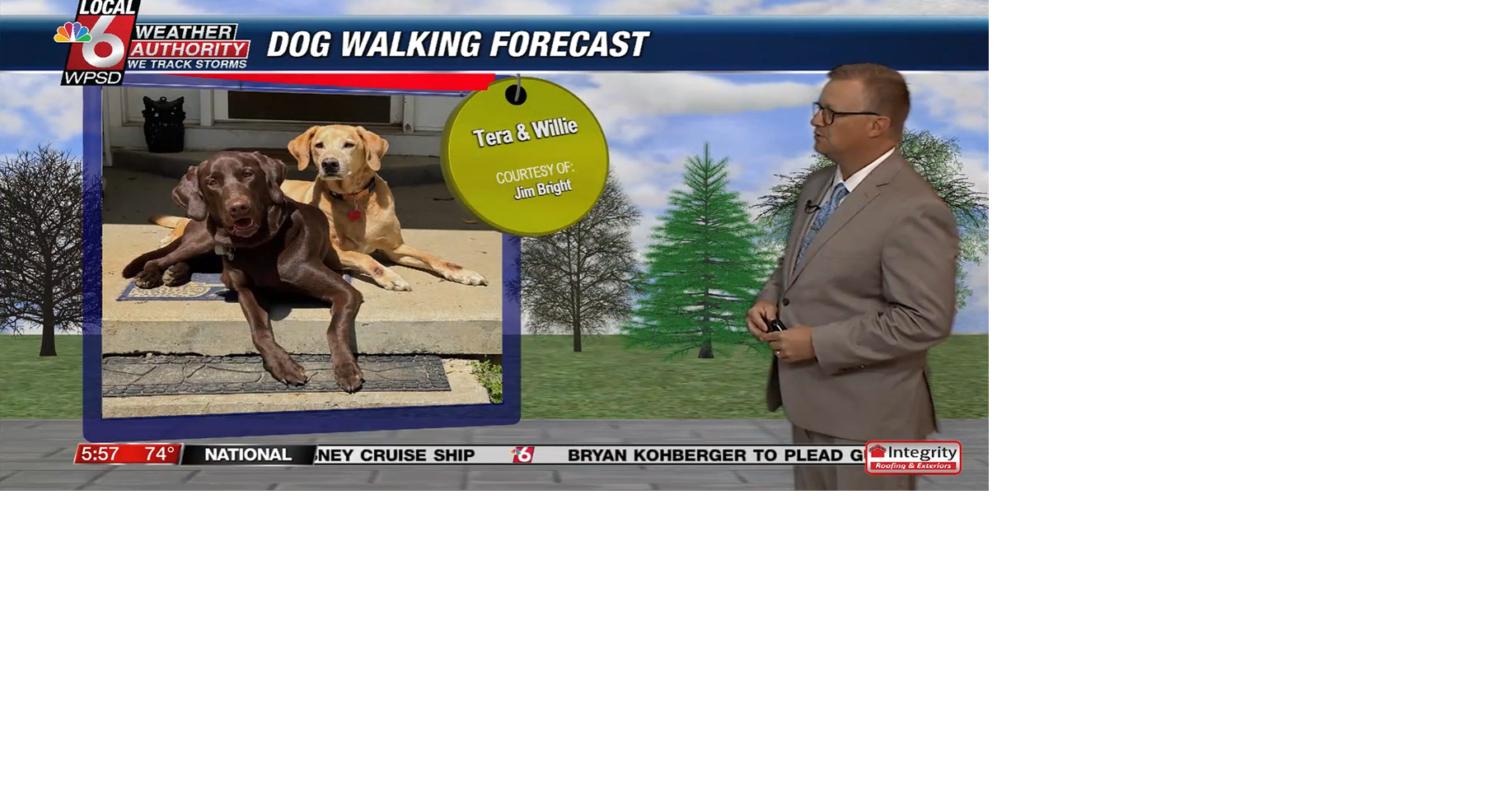 Dog walking forecast 7.1.25