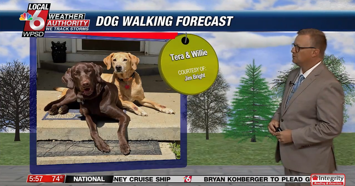 Dog walking forecast 7.1.25 Dog walking forecast 7.1.25