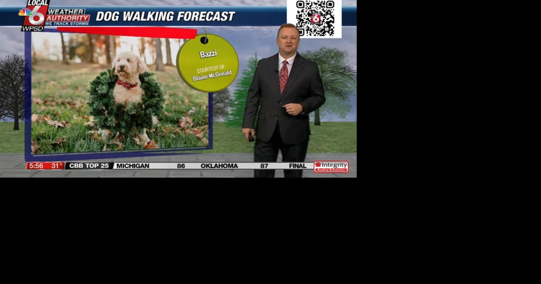 Dog walking forecast 12.19.24