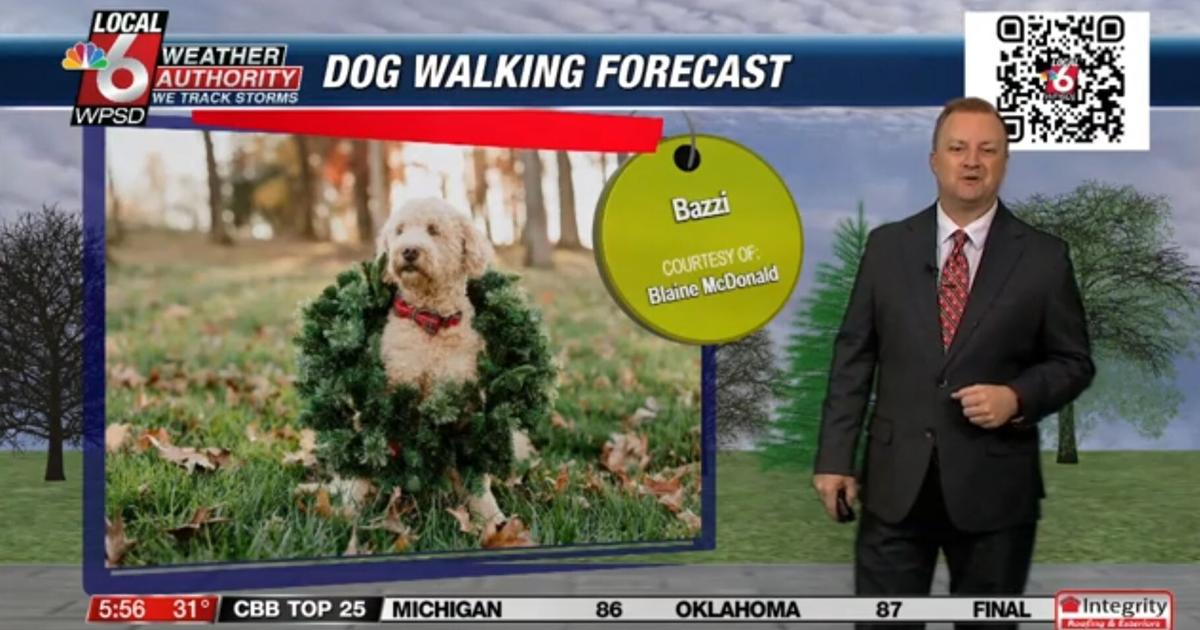 Dog walking forecast 12.19.24 Dog walking forecast 12.19.24