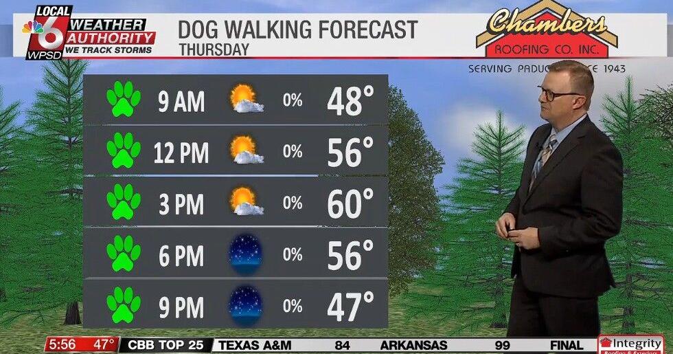 Dog walking forecast 2.26.26 | Weather