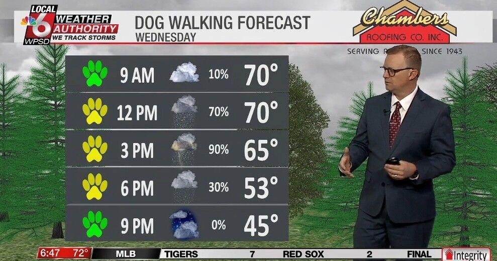 Dog walking forecast 3.11.26 | Weather