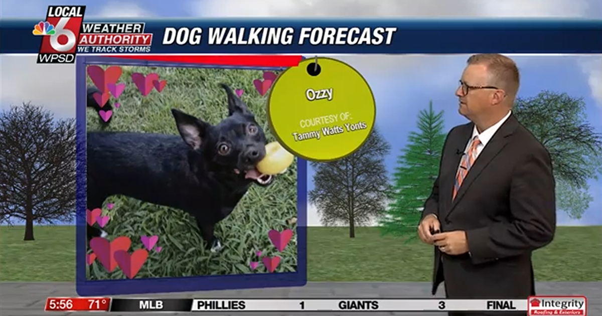 Dog walking forecast 7.8.25 Dog walking forecast 7.8.25