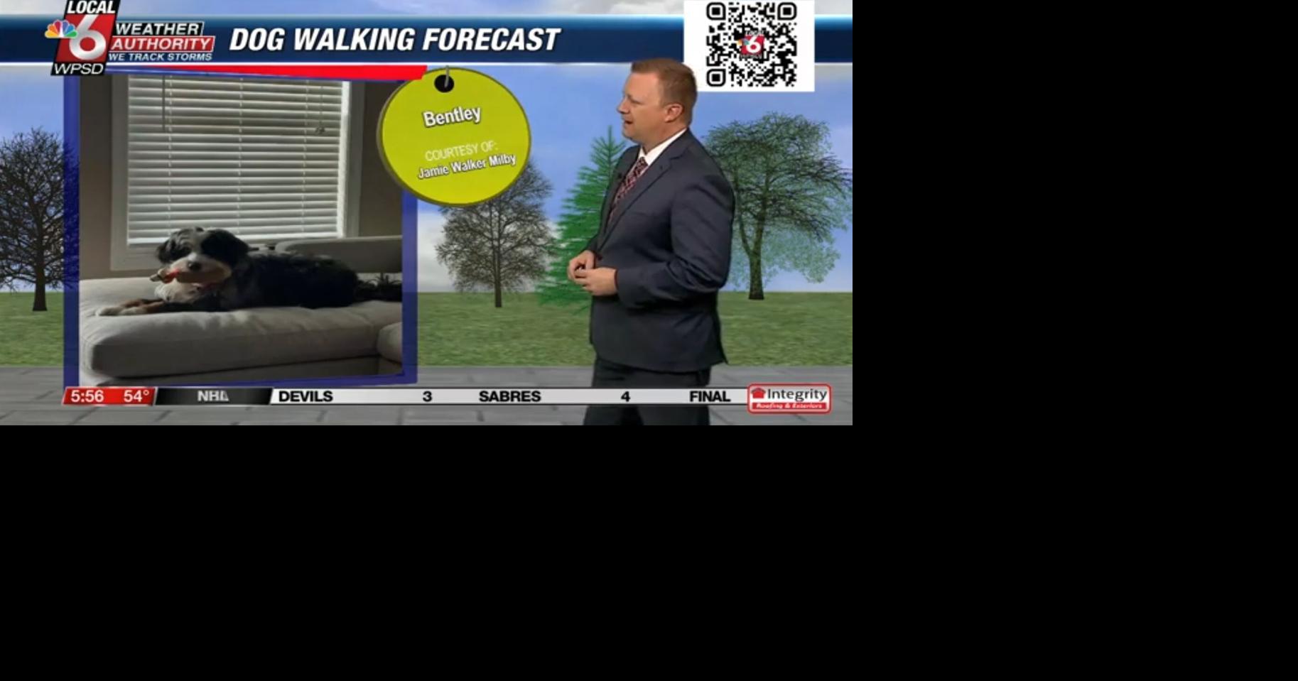 Dog walking forecast 2.3.25