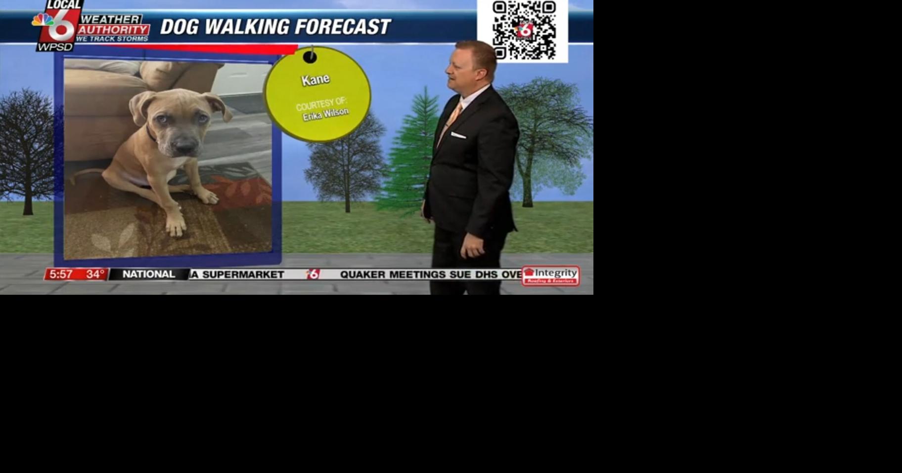 Dog walking forecast 1.28.25