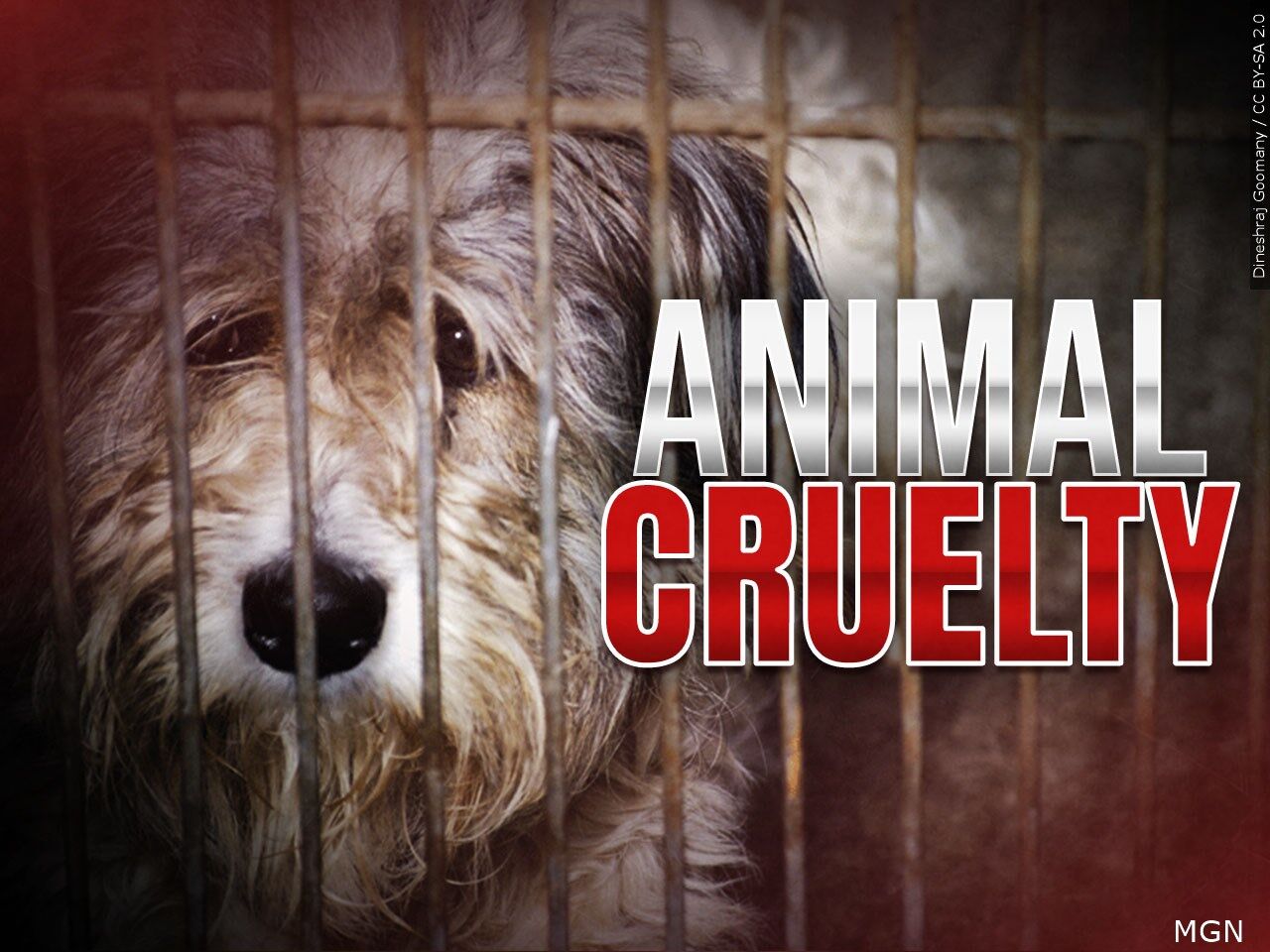 Marshall County pair indicted on animal cruelty charges after ...