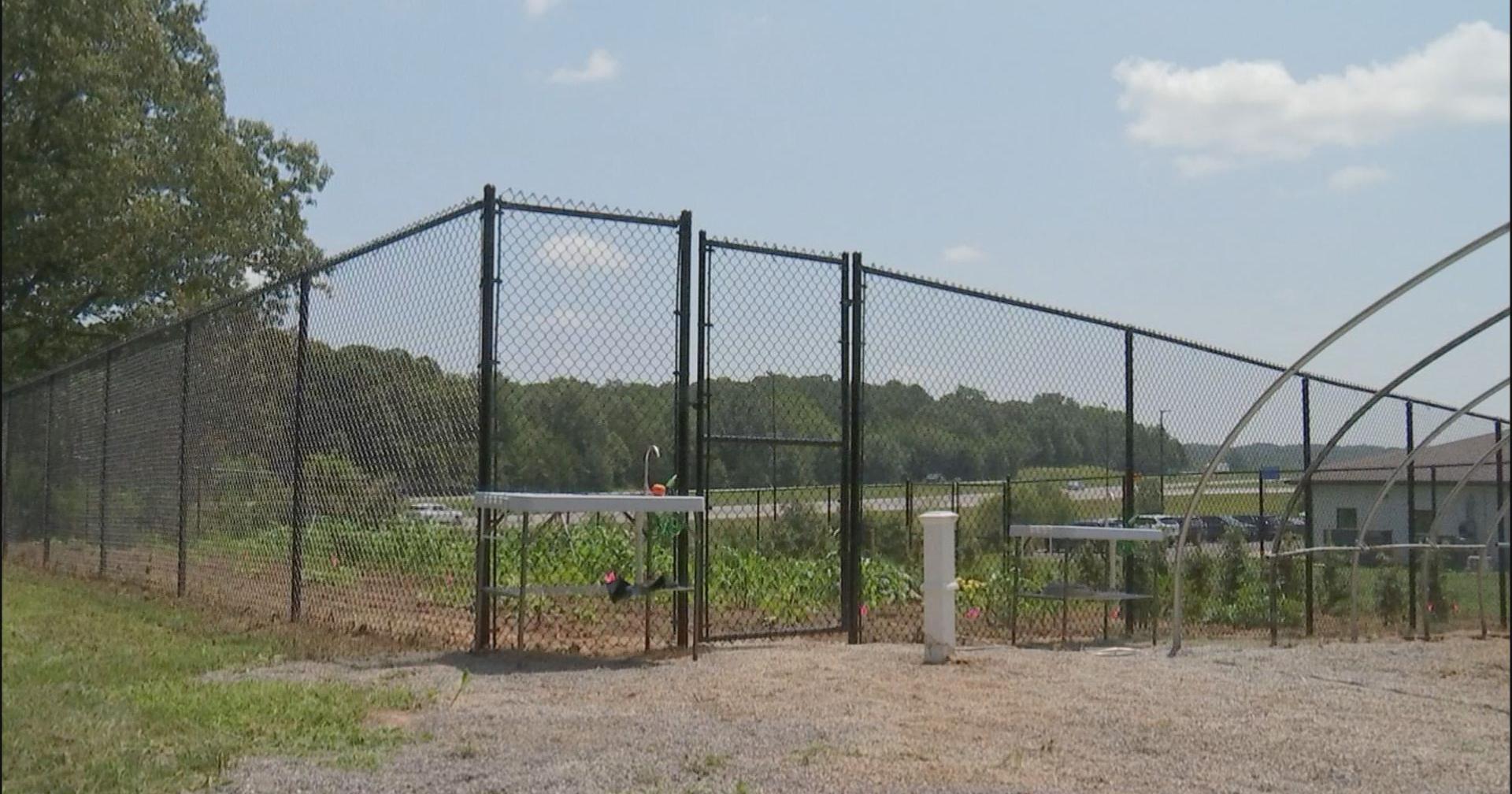 Arrowleaf's new garden provides access to fresh food in southern Illinois - Vimarsana News