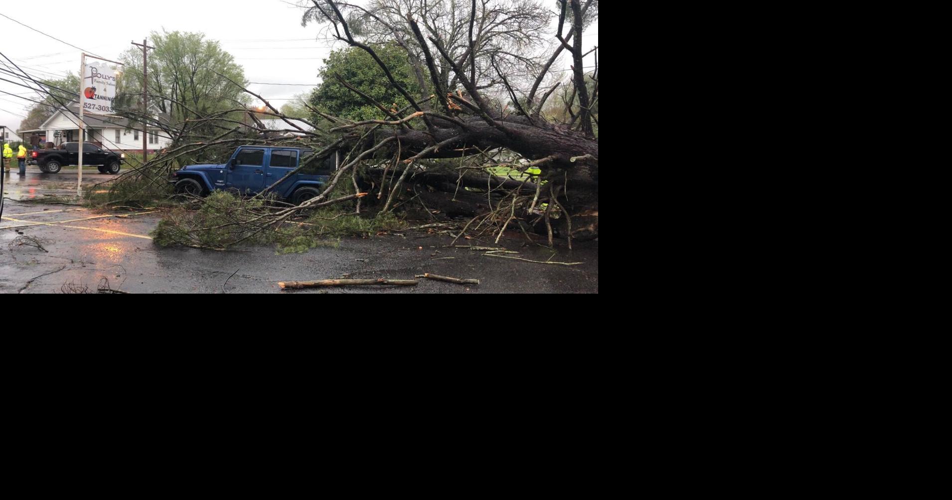 Downed tree at Sydney's Gifts and Florist in Benton, Kentucky Weather