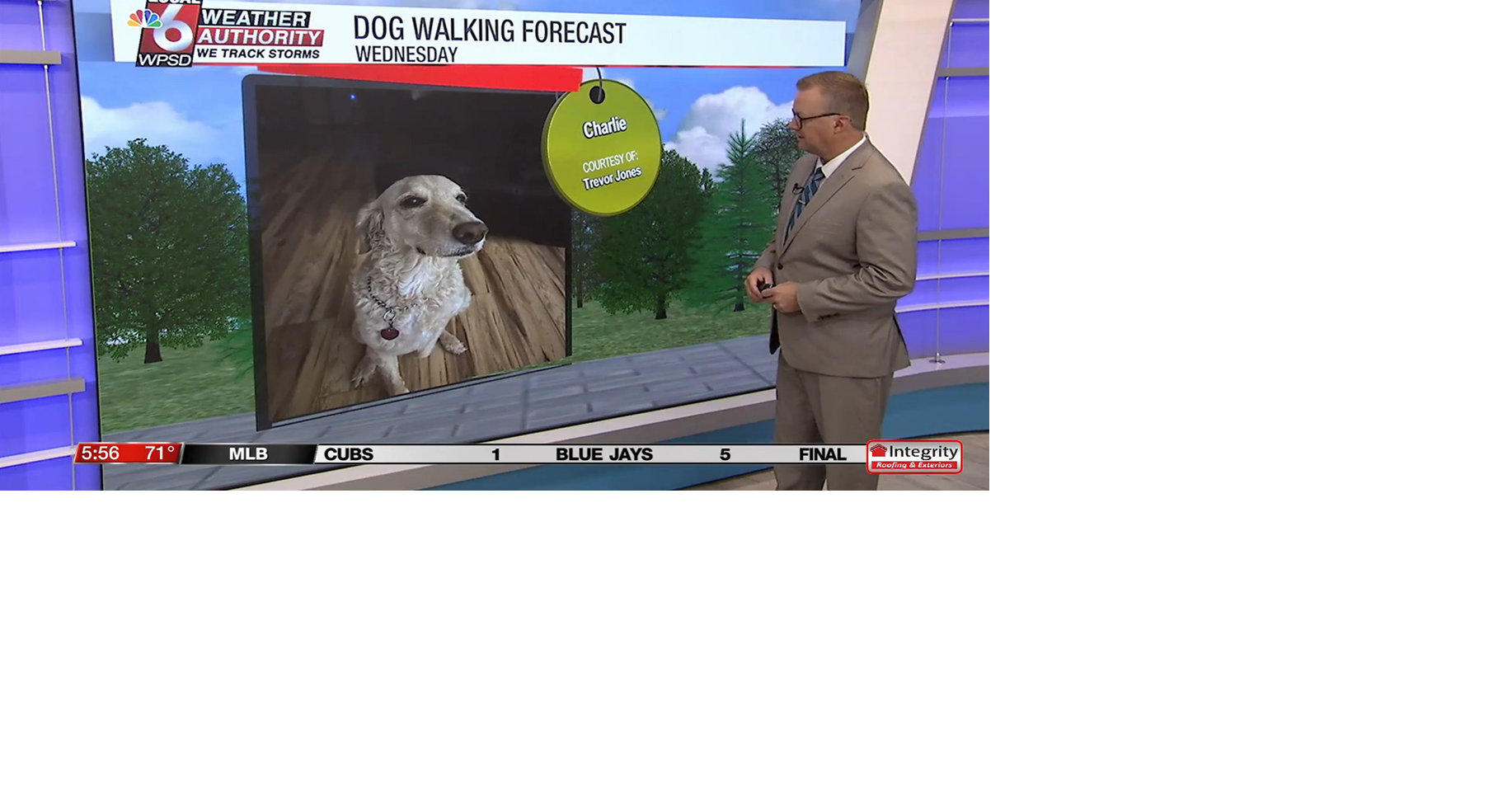 Dog walking forecast 8.13.25