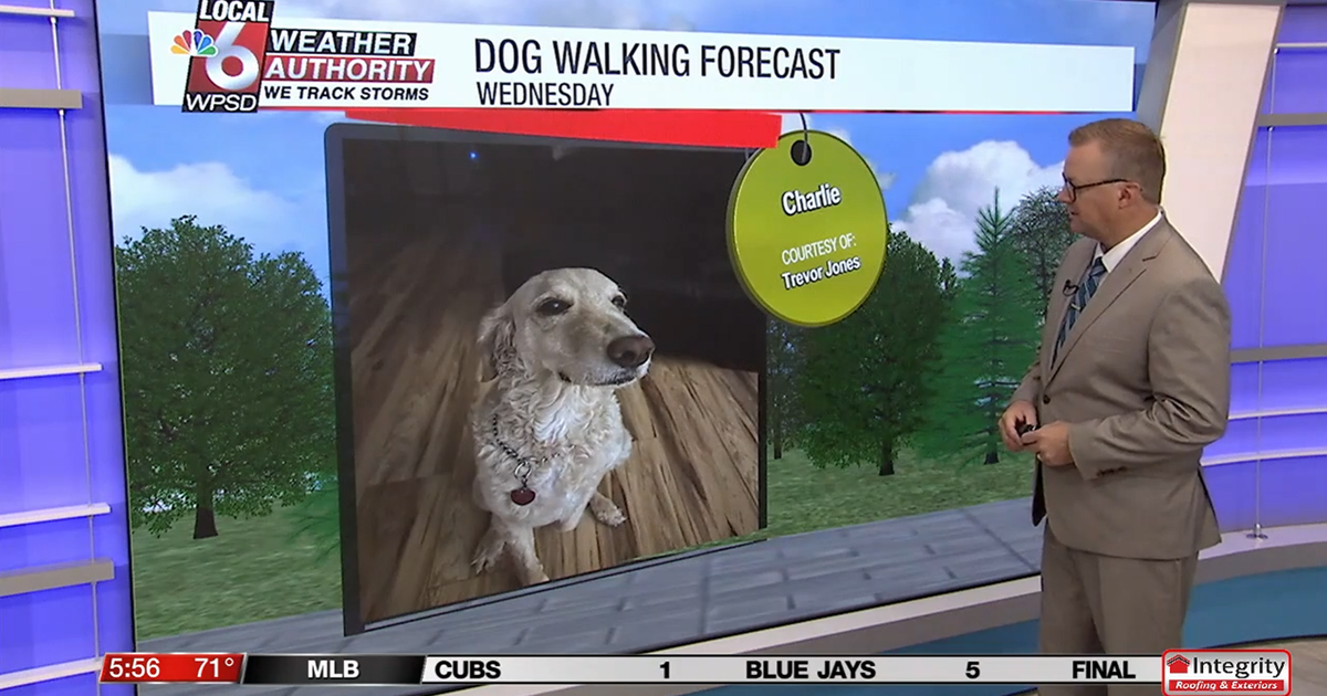 Dog walking forecast 8.13.25 Dog walking forecast 8.13.25