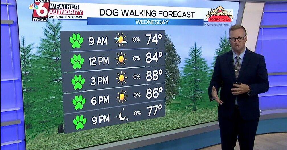 Dog Walking Forecast 7.29.26 | Weather Dog Walking Forecast 7.29.26 | Weather