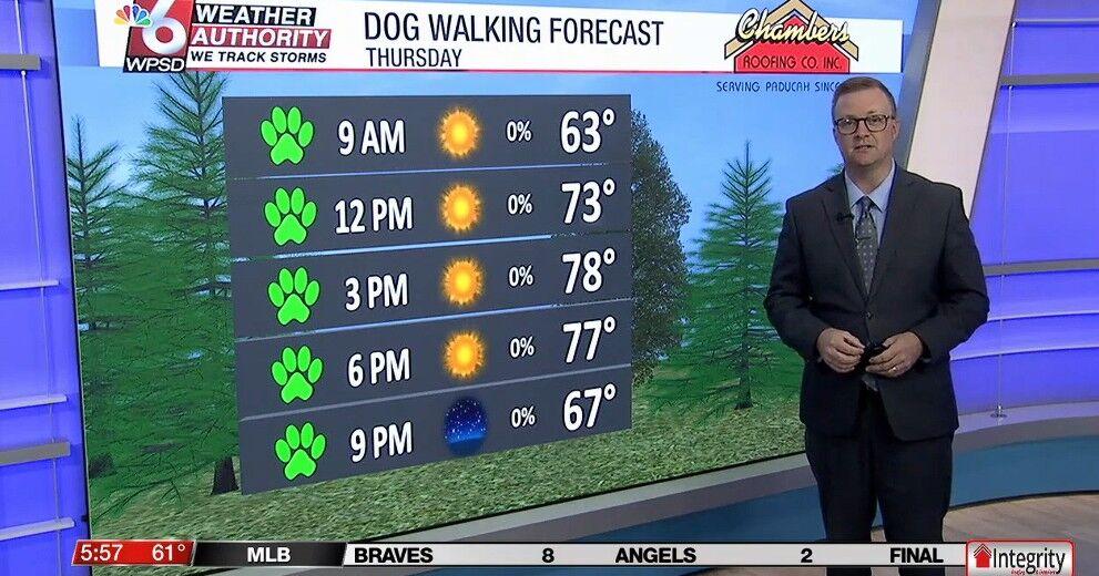 Dog walking forecast 4.9.26 | News Dog walking forecast 4.9.26 | News