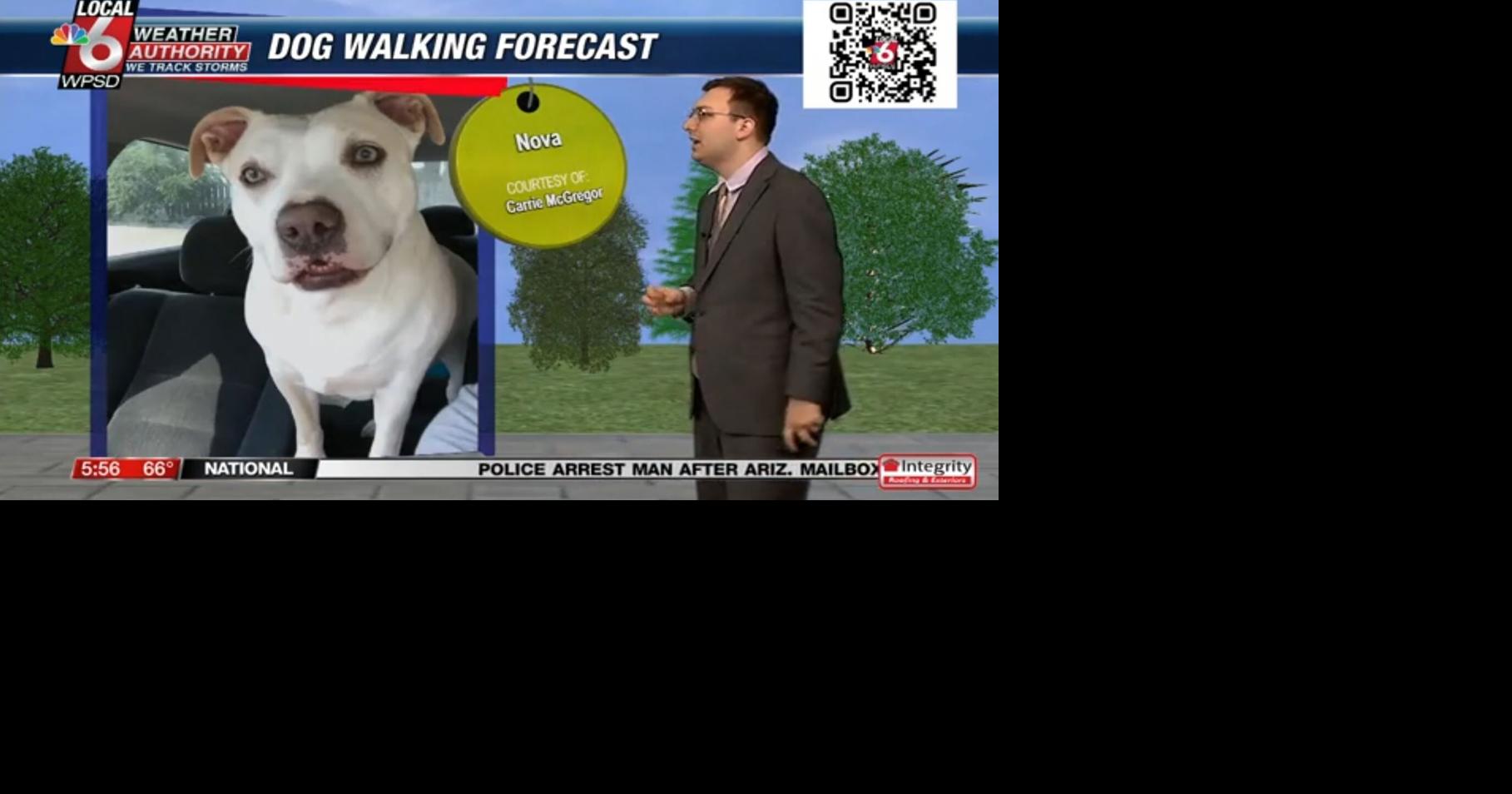 Dog walking forecast 10.25.24 | Weather