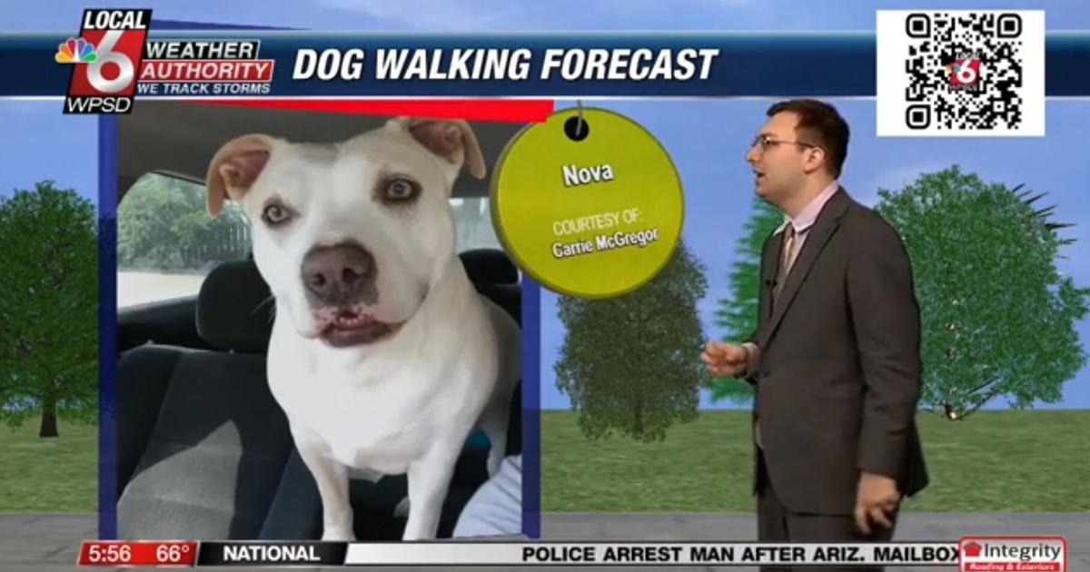 Dog walking forecast 10.25.24 | Weather Dog walking forecast 10.25.24 | Weather