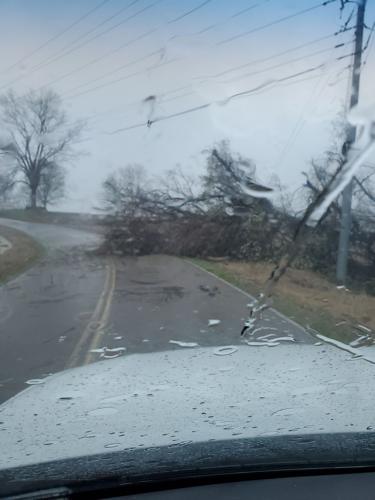 Tree fallen across Wolverine Road in Troy, Tennessee