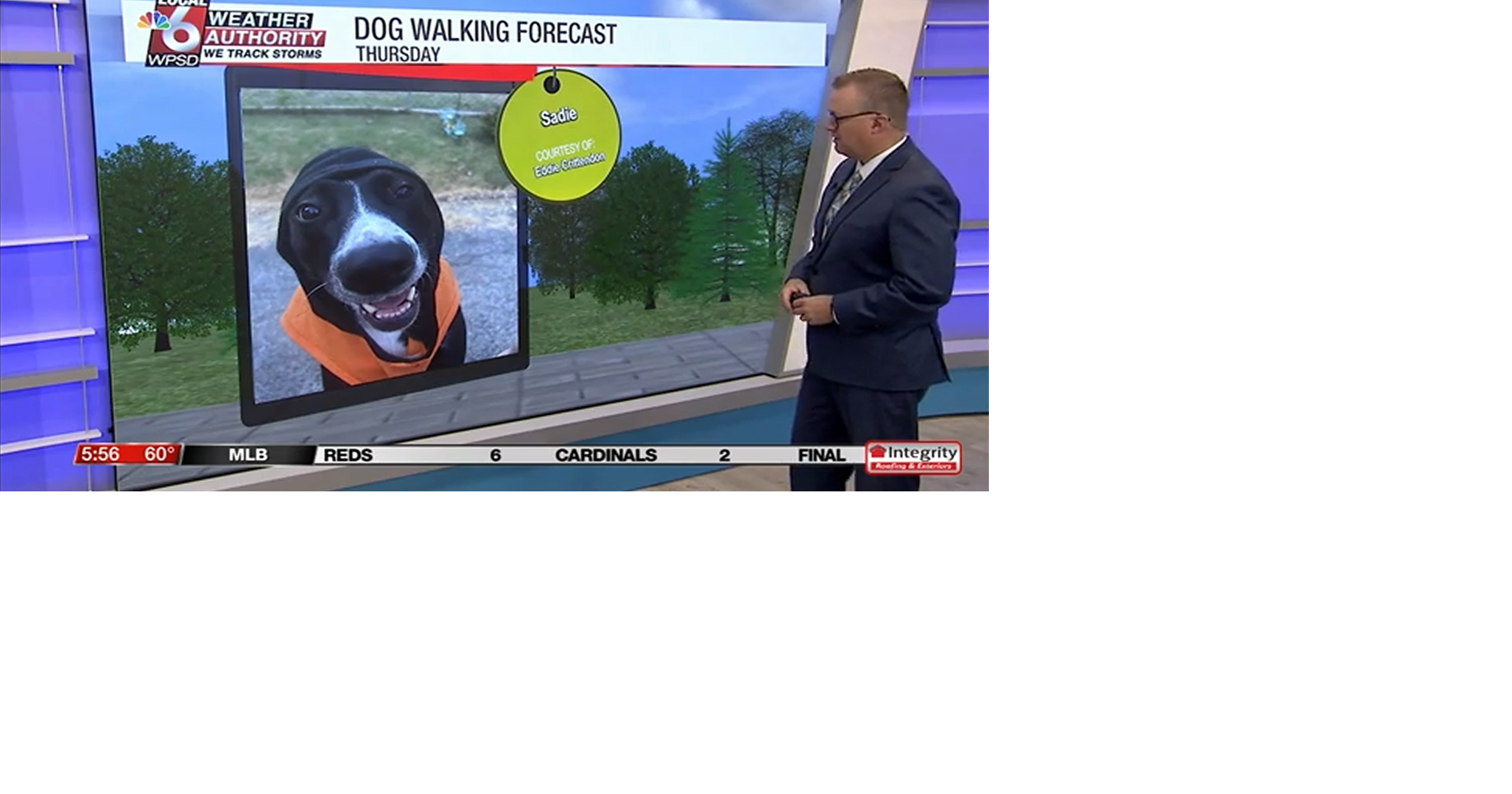 Dog walking forecast 9.18.25