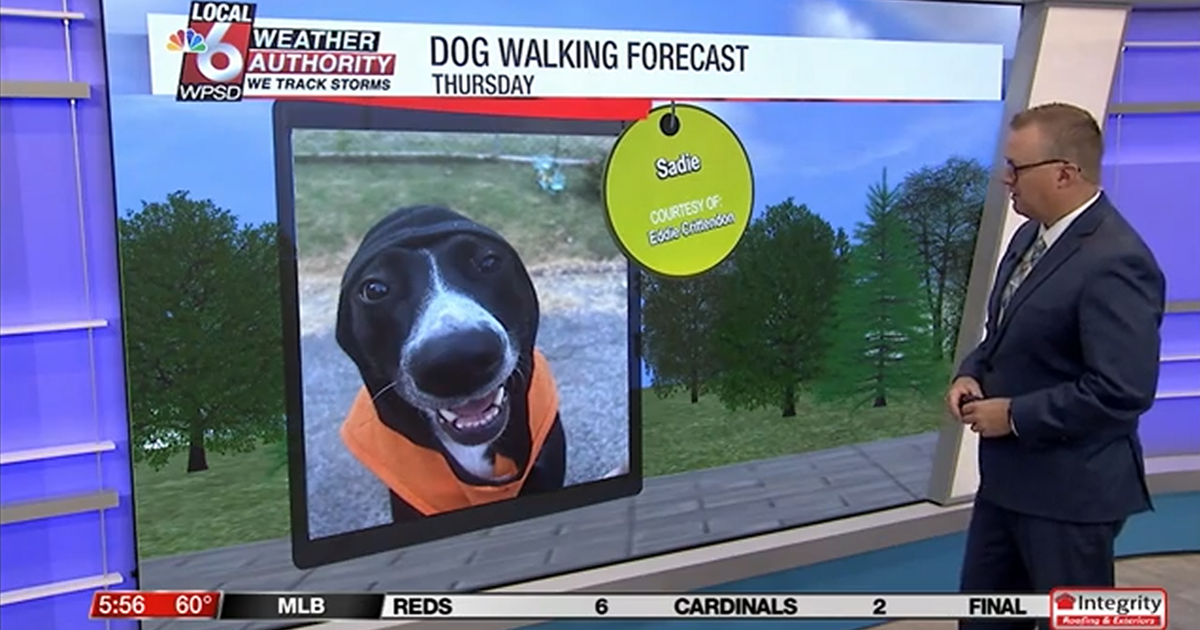 Dog walking forecast 9.18.25 Dog walking forecast 9.18.25